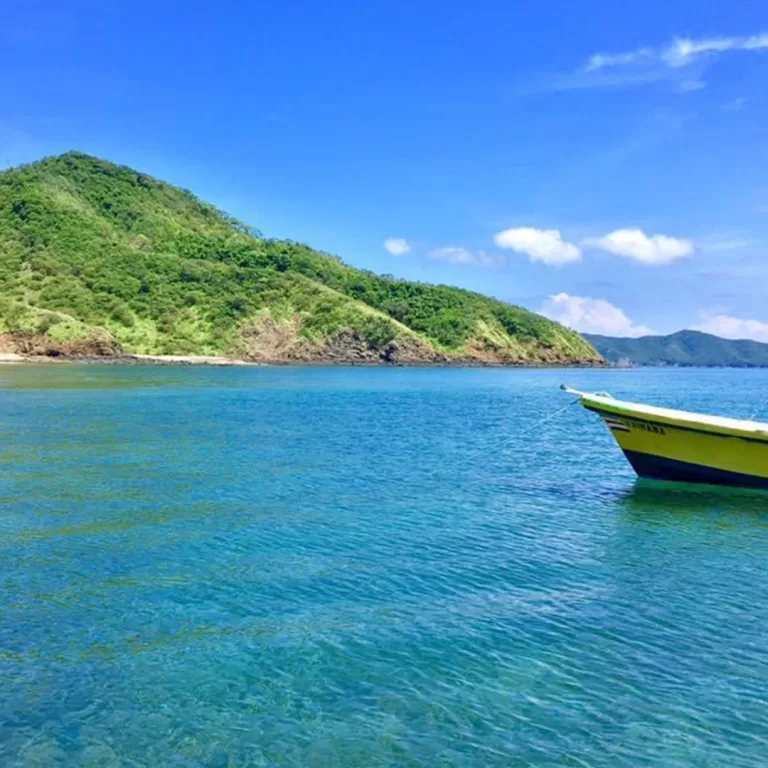 Mantas-Divers-Buceos-CF-16