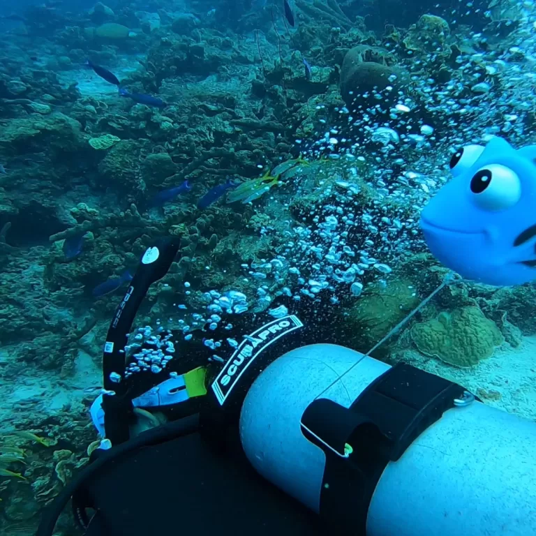 Mantas-Divers-Buceos-CF-5