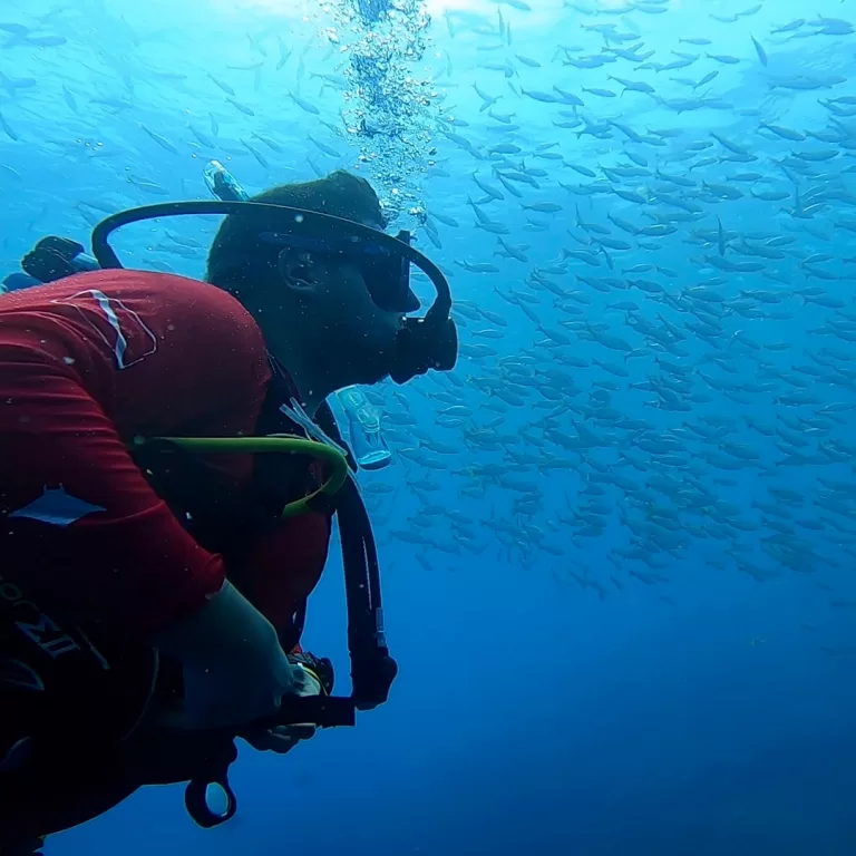 Mantas-Divers-Buceos-CF-7