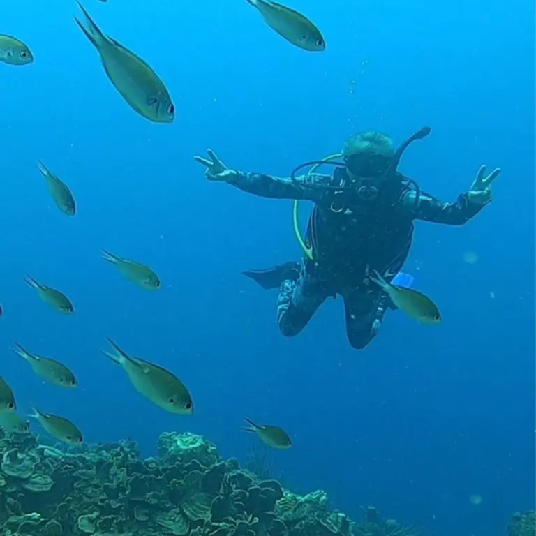 Mantas-Divers-Buceos-CF-21